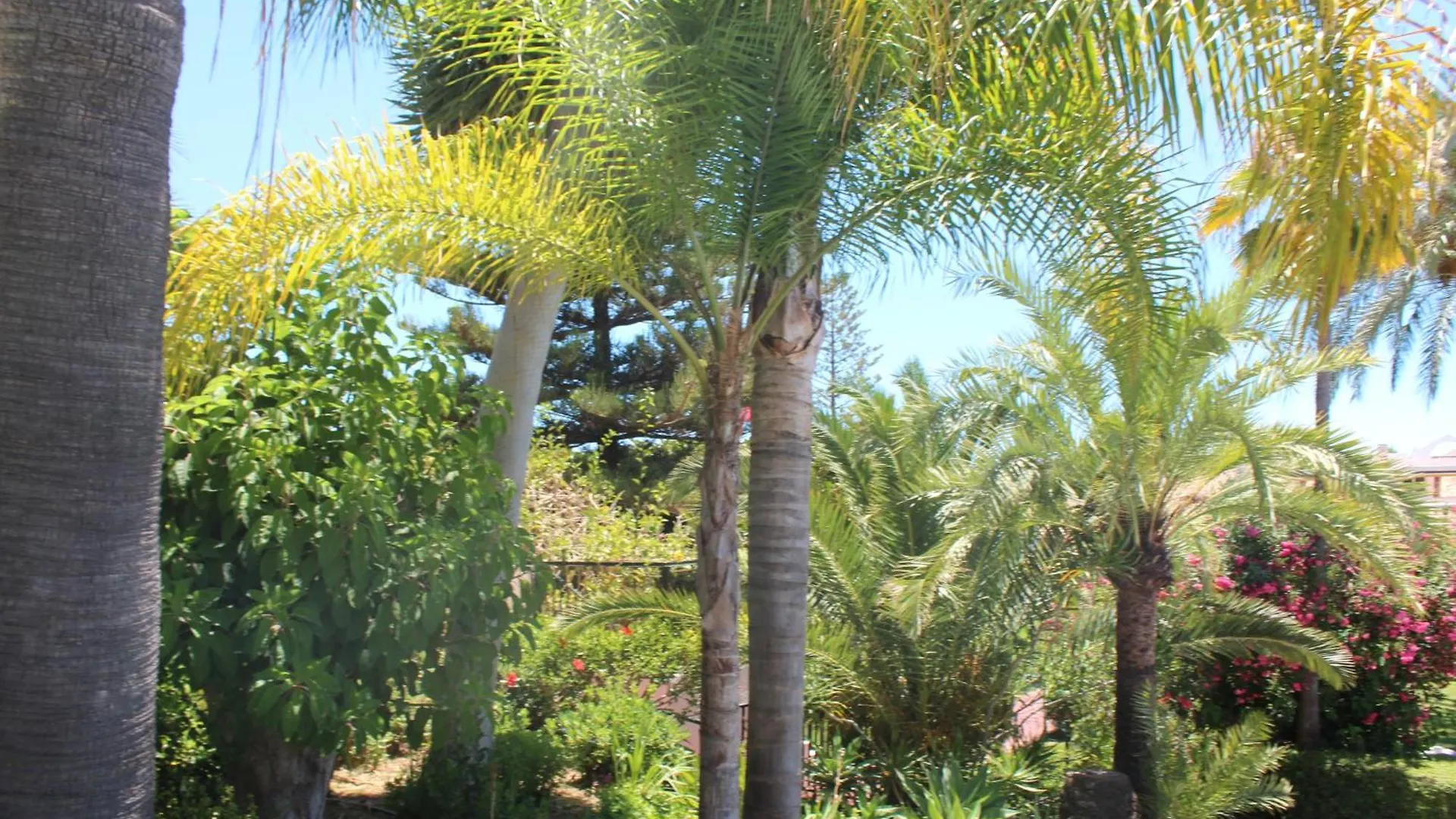 Cozy Boho Studio With Stunning Sea Views Marbella 0*,  Spain